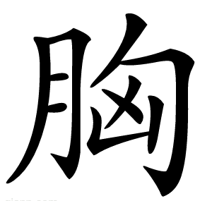 胸